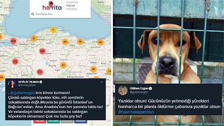 Sosyal Medya Kampanyaları: Başıboş Köpek Haritası'na Tepkiler Çığ Gibi Büyüyor! Katliam mı? Korunma mı?