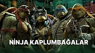 Burcuna Göre Sen Hangi Ninja Kaplumbağasın?