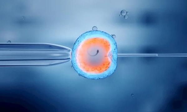Bilim insanları sentetik embriyoları oluşturmak için farelerden alınan gelişmemiş kök hücreleri ve iki farklı kök hücre türünü birleştirdi.