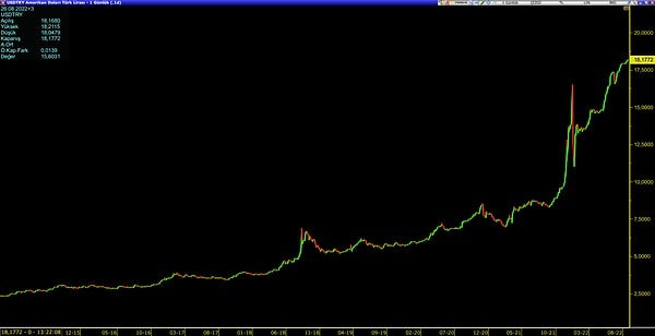 2017 yılından sonra dolar/TL'nin seyri görülürken, TL'deki değer kaybı açısından dikkat çekici bir görünüm oluyor.