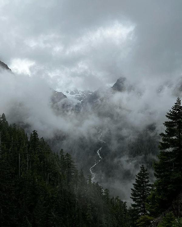 5. Hoh Yağmur Ormanı, Washington:
