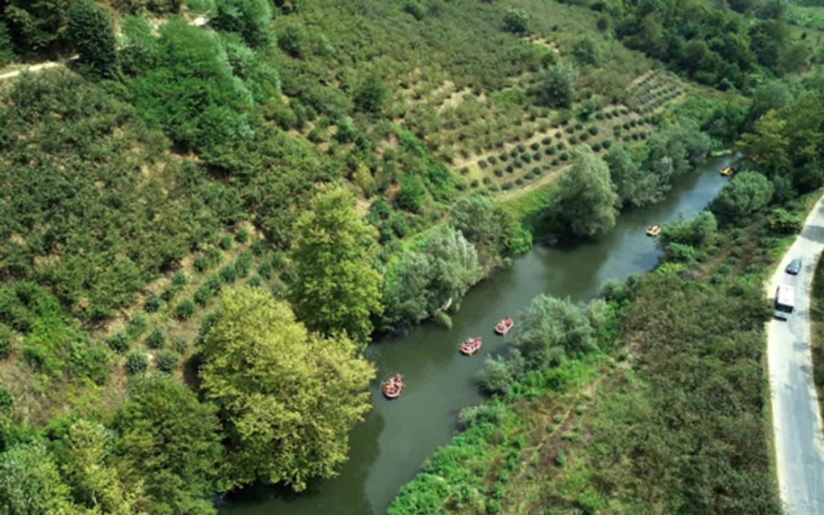Düzce Güzeldere Şelalesi