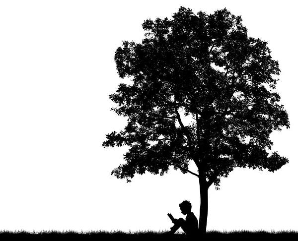 13. "Hiçbir yere sığmayan ruhunu emanet edip ağacının gölgesinde soluklanabileceği edebiyatın içinde olmayı istiyordu."