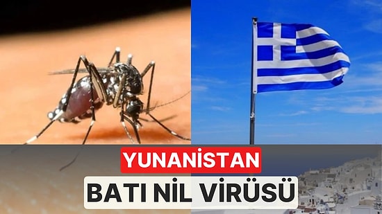 Yunanistan'da Batı Nil Virüsü Uyarısı! Batı Nil Virüsü Nedir? Batı Nil Virüsü Nasıl Bulaşır?