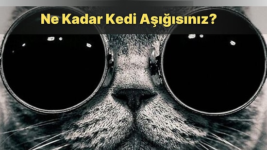 Kedi Severlerin Mutlaka Birine Sahip Olmak İsteyeceği Kedi Desenli 12 Ürün