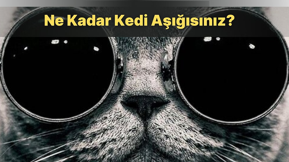 Kedi Severlerin Mutlaka Birine Sahip Olmak İsteyeceği Kedi Desenli 12 Ürün