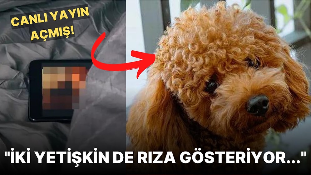 Köpeğini Defalarca Kez İstismar Ederek Cinsel İlişkiye Girmeye Zorlayan Adamın Mide Bulandıran Açıklamaları