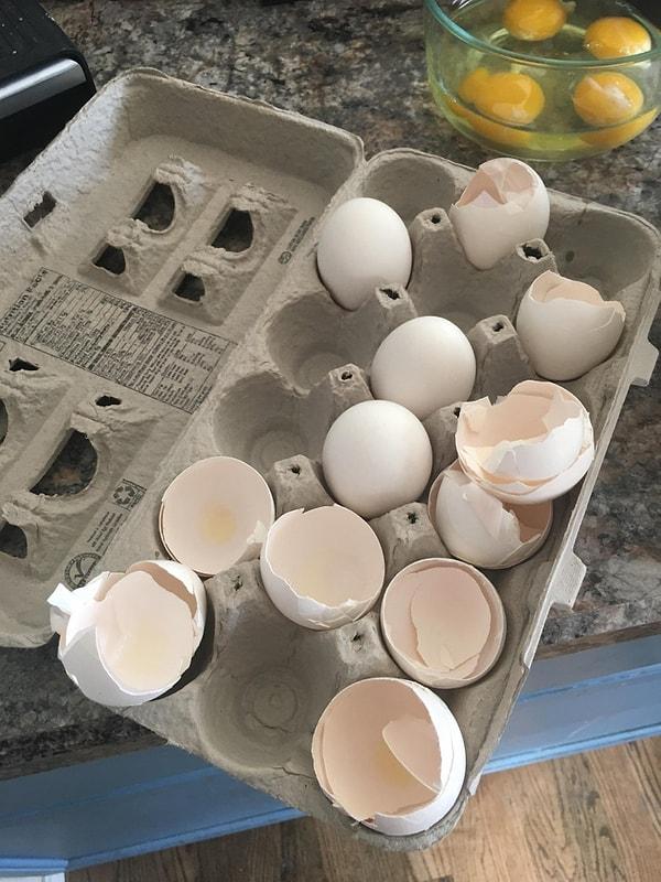 3. Yumurta kabukları insan kemiği oluşturmak için kullanılıyor.