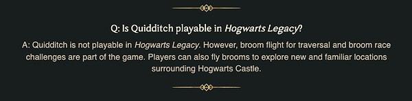 Hogwarts Legacy'de Quidditch olmayacağı oyunun 'Sıkça Sorulan Sorular' kısmındaki bilgiler ışığında ortaya çıktı.