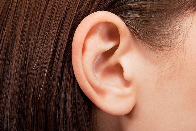 6. Le plus petit os de votre corps se trouve dans notre oreille.