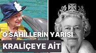 Kuğulardan, Balinalara Kadar Kraliçe 2. Elizabeth'in Sahip Olduğu Birbirinden Enteresan Varlıklar