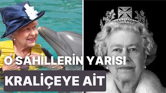 Kuğulardan, Balinalara Kadar Kraliçe 2. Elizabeth'in Sahip Olduğu Birbirinden Enteresan Varlıklar