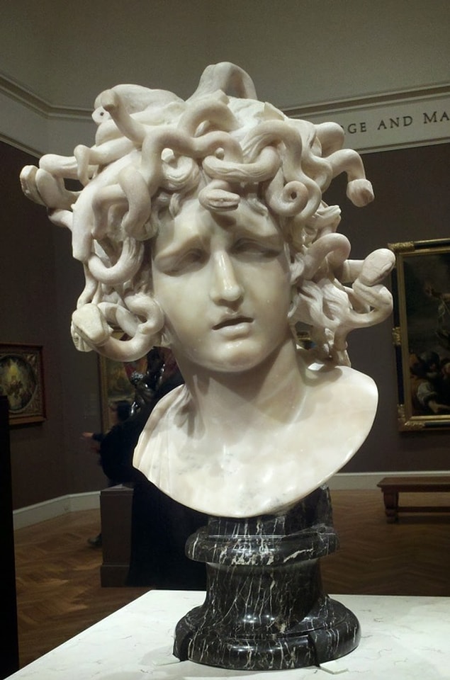 Poseidon'un Medusa'ya tecavüz etmesinden sonra Medusa hamile kalmış ve olanlar olmuş.