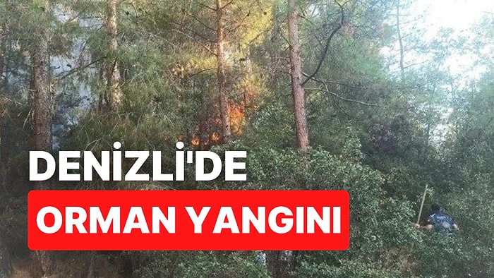 Denizli'de Orman Yangını Çıktı: Müdahaleler Devam Ediyor!