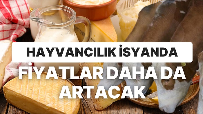 TÜİK Verileri Bile Artışı Gösterirken Üreticiye Yapılamayan Artış Süt Fiyatlarında Etiketlerde Görülüyor!