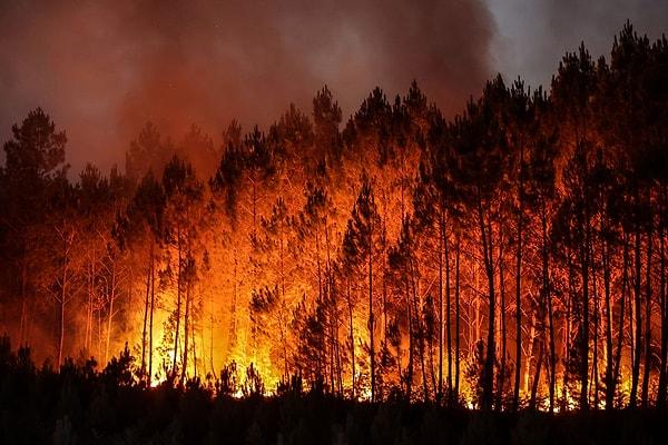 Dünyanın gördüğü en büyük orman yangınları ortalığı kasıp kavuracağı için ormanlar tamamen yok olurdu.