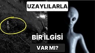 En İyi Doktorları Bile Şaşırtan Sıra Dışı İnsan ve Hayvan Yaralanmalarıyla Uzaylıların Bir İlgisi Var mı?