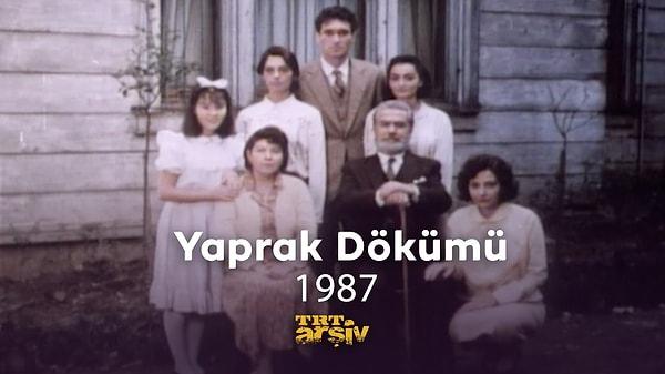 1987 yılında TRT'de dizi versiyonunda da güçlü bir oyuncu kadrosu bulunan yapımda Ferhunde'yi Sevtap Parman oynarken, Şevket'i Tarık Tarcan, Necla rolünde de  Serap Aksoy var.