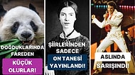 Öğrendiğiniz Andan İtibaren Bilgi Şöleninde Boğulacağınız Birbirinden İlginç Kültürel Gerçekler