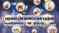 Hangi Çin Burcu Hayvanı Senin Karakterinle Eşleşiyor?