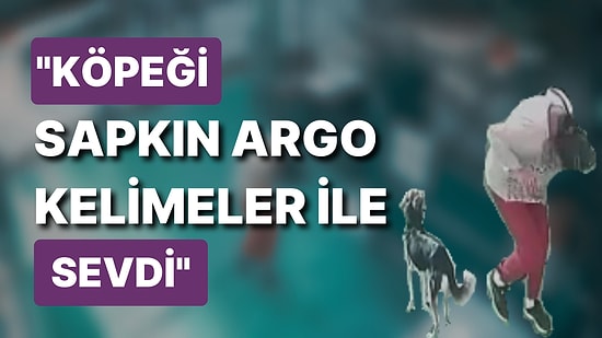 Veteriner Kliniğinin Camlarını İndiren Saldırgan: Hayvanlarınızı Öldürürüm