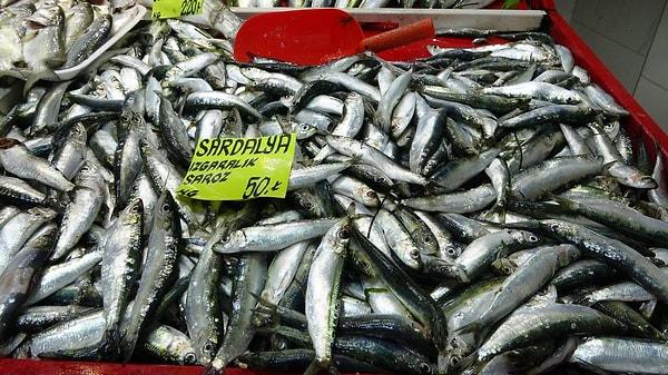 9. Sardalya. Omega-3 açısından oldukça zengin olan sardalya yağlı bir balık türüdür.
