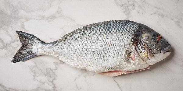 8. Çipura. Kasım ayında tam lezzetini yakalayabileceğiniz balıklardan biri çipuradır.