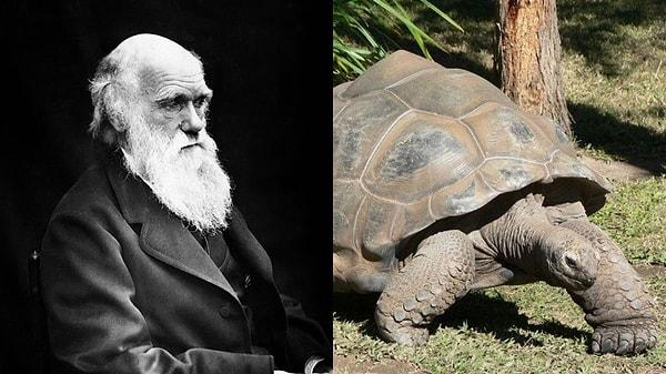 7. 1930'da doğan ve 2006'da ölen kaplumbağa Harriet, Charles Darwin'i şahsen görmüştü