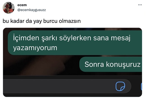 15. Aynı anda iki işi yapamayan tek burç Yay olmayabilir.