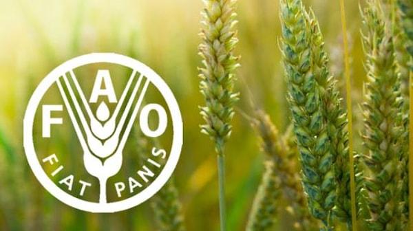 FAO Gıda Fiyat Endeksi Mayıs ayında geriledi.