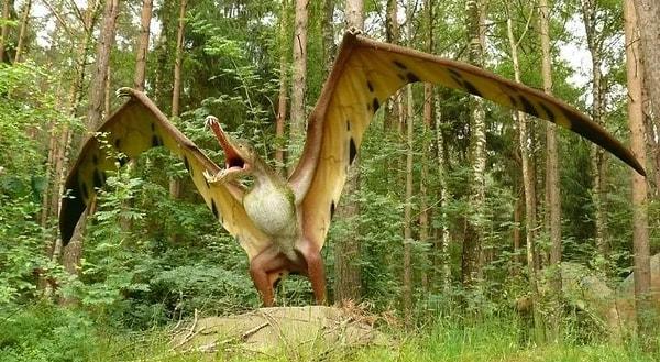 2. Pterodaktiller aslında dinozor değildir.