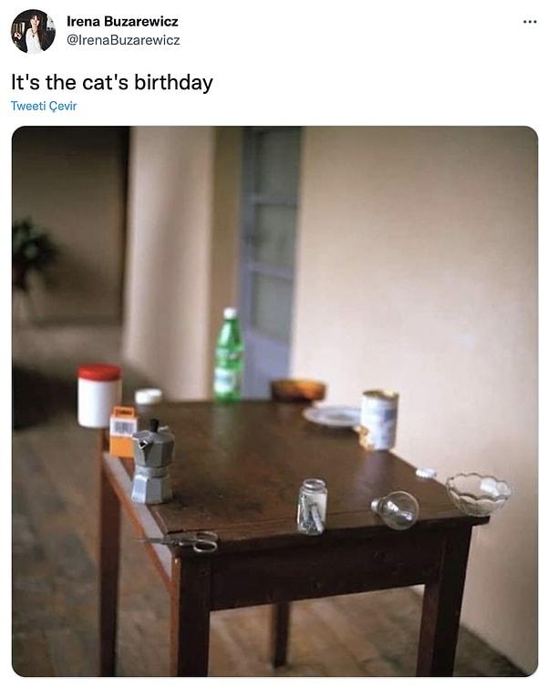 4. "Kedinin doğum günü"