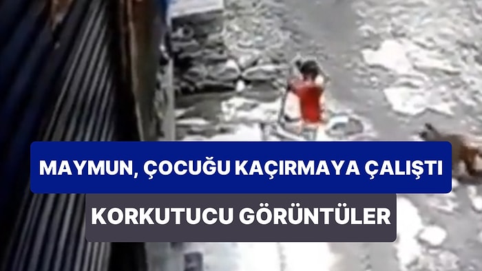 Sokakta Oynarken Maymun Tarafından Saldırıya Uğrayıp, Kaçırılmaya Çalışılan Çocuk