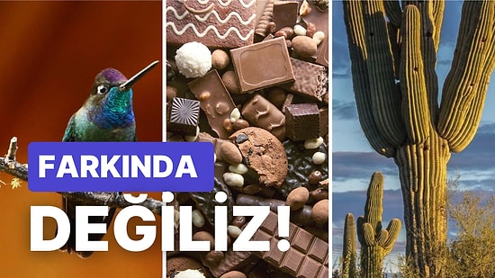 Kahve Çekirdeğinden Ateş Böceğine! Siz Bu İçeriği Okurken Farkına Varmadan Hızla Tükenen Şeyler