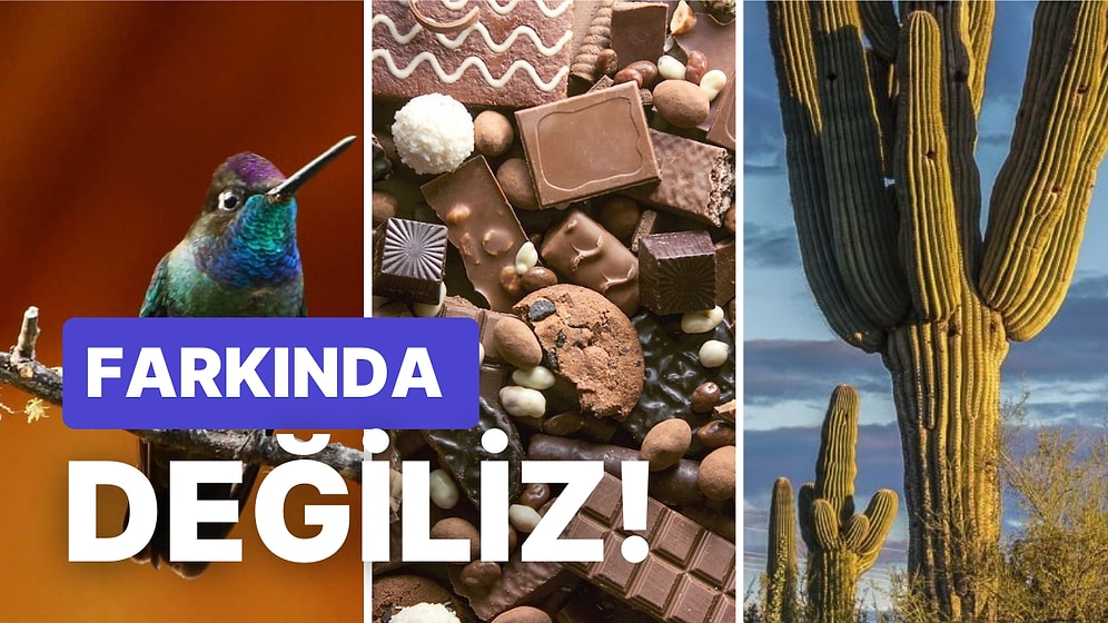 Kahve Çekirdeğinden Ateş Böceğine! Siz Bu İçeriği Okurken Farkına Varmadan Hızla Tükenen Şeyler