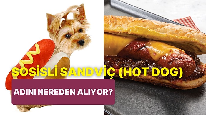 Yıllardır Merak Edilen Soruyu Cevaplıyoruz: Sosisli Sandviçe Neden Hot Dog (Sıcak Köpek) Deniyor?