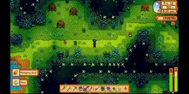 How To Find The Secret Woods in Stardew Valley