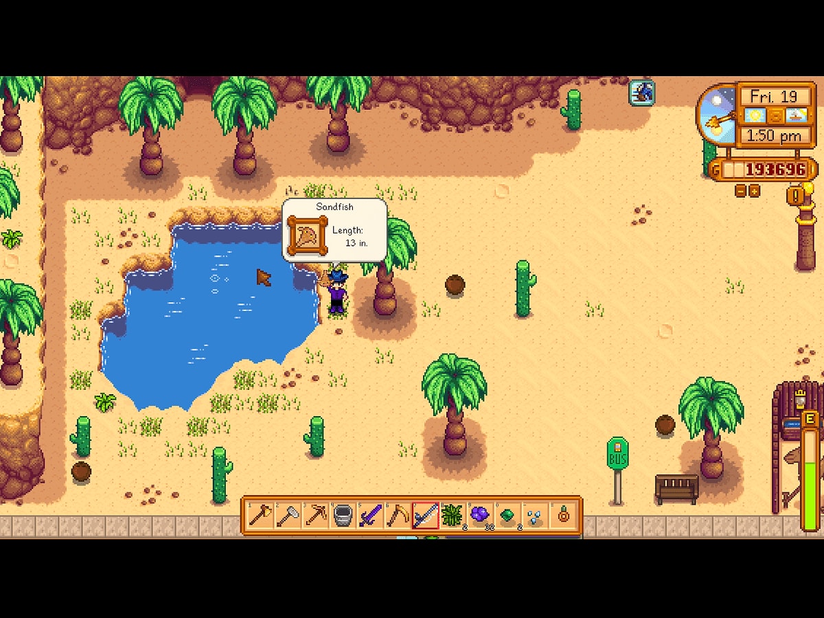 Where To Catch The Sandfish in Stardew Valley