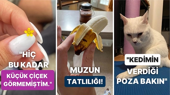 Gördüğünüz Andan İtibaren Zevki İliklerinize Kadar Hissedeceğiniz Birbirinden Etkileyici 25 Fotoğraf