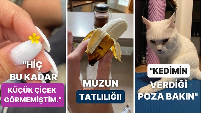 Gördüğünüz Andan İtibaren Zevki İliklerinize Kadar Hissedeceğiniz Birbirinden Etkileyici 25 Fotoğraf