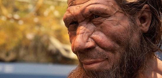 Ancient DNA Of Neanderthals Were Discovered In A Siberian Cave
