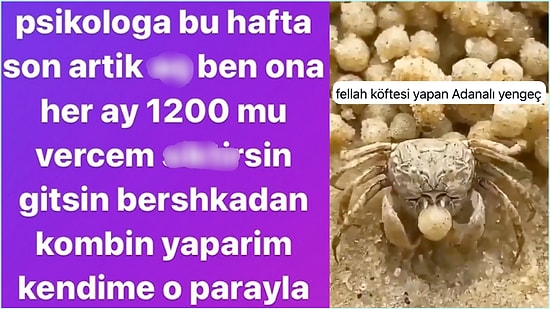 Rızkını Psikoloğa Gömenlerden Fellah Köftesi Yapan Yengece Son 24 Saatin Viral Tweetleri