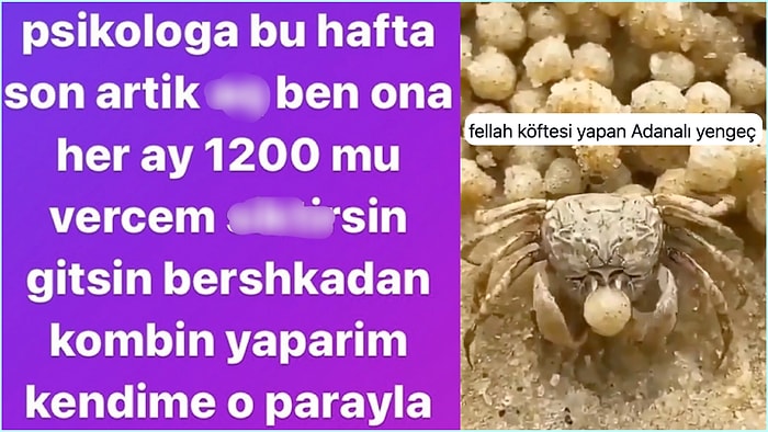 Rızkını Psikoloğa Gömenlerden Fellah Köftesi Yapan Yengece Son 24 Saatin Viral Tweetleri