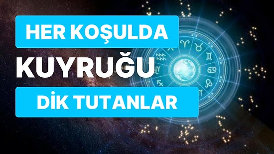 Burnu Düşse Eğilip Yerden Almayacak, Bu Hayatta Sadece Gururu için Yaşayan Burçları Açıklıyoruz
