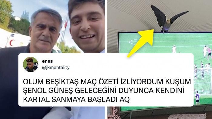 Kargalar Sürüyle Kartal Yalnız Uçar Hocam! Beşiktaş ile Anılan Şenol Güneş İçin Yapılmış En Eğlenceli Editler