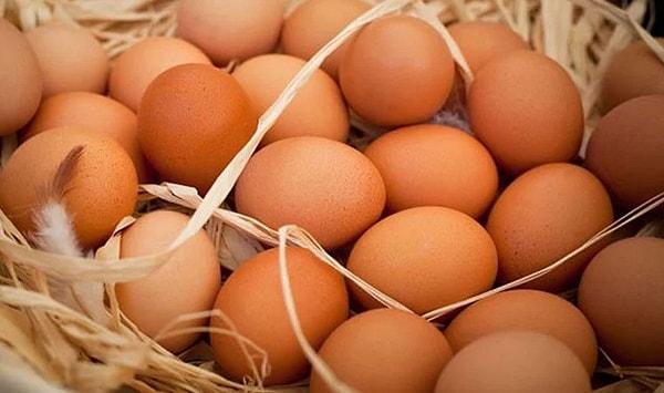 31. Yumurta Ölçüleri