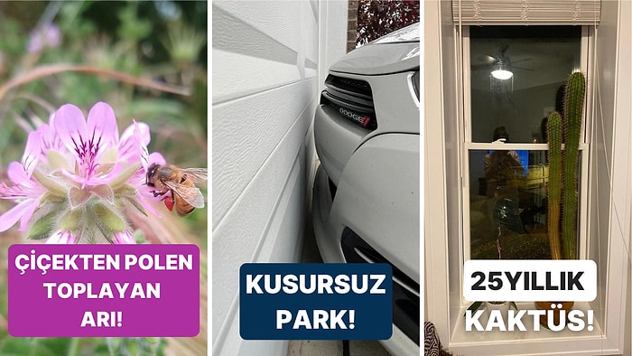 Gördüğünüz Andan İtibaren Zevki İliklerinize Kadar Hissedeceğiniz Birbirinden Etkileyici 21 Fotoğraf