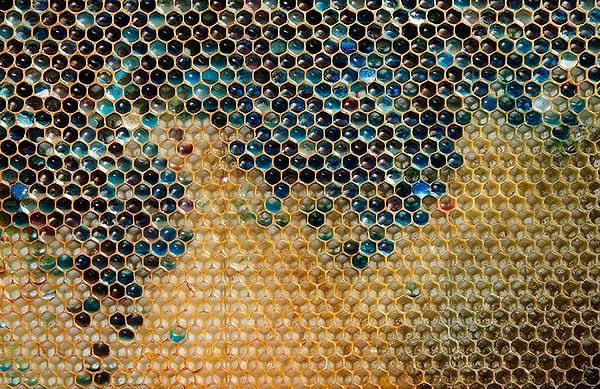 Fabrika, arıların ulaşamayacağı şekilde atıkları depolayacağını duyurdu.
