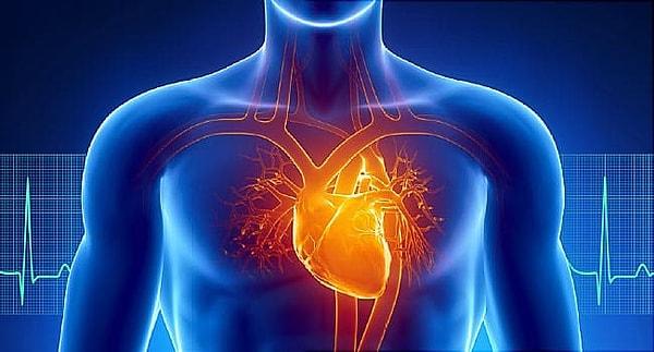 3. Kalp hastalıklarına karşı korur.