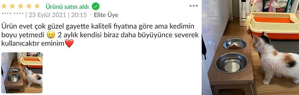 3. Çabuk patilerine bakın! 😍